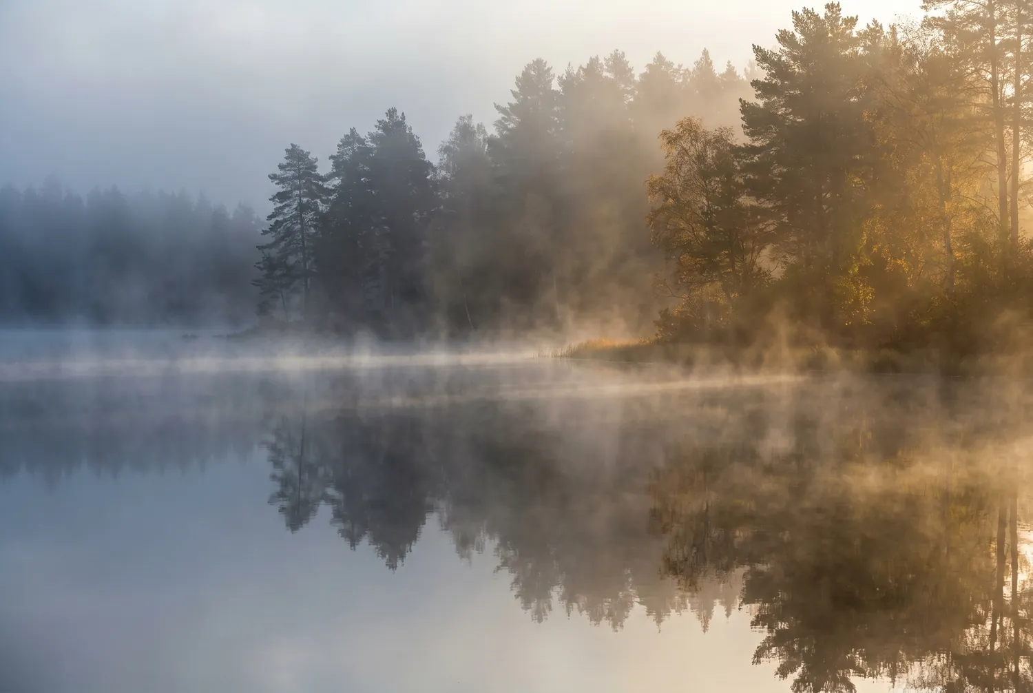 Morning fog gradually lifting off a still forest lake as sunlight breaks through, a metaphor for depression easing with treatment Morning fog gradually lifting off a still forest lake as sunlight breaks through, a metaphor for depression easing with treatment