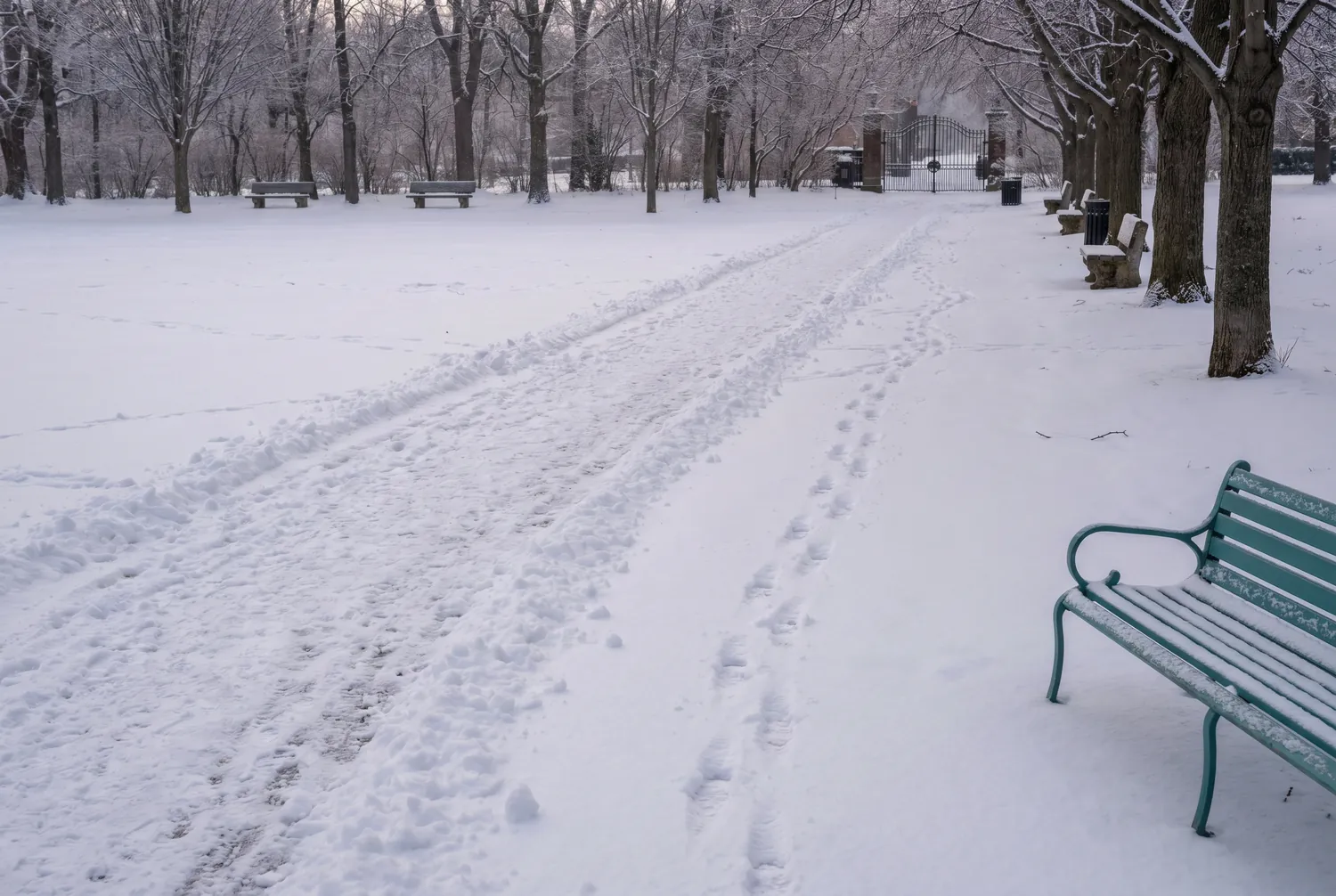 A worn path in snow with fresh footprints branching off A worn path in snow with fresh footprints branching off